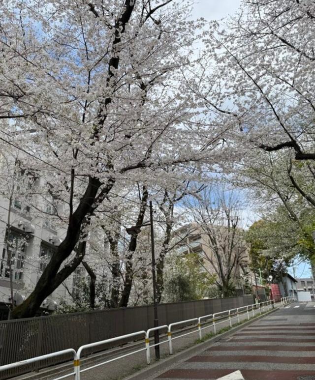開成中学校の画像